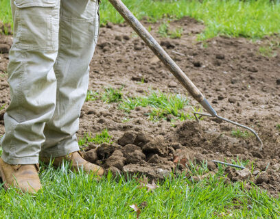 Gazon Aanleggen Inclusief Stappenplan Moowy