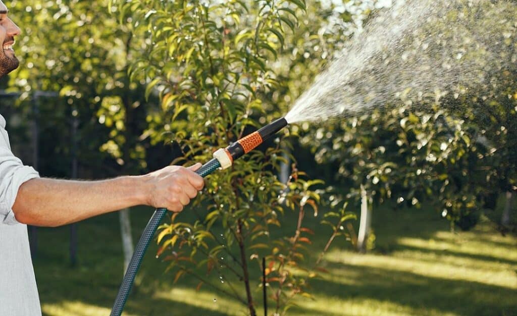 Iemand besproeit plant met tuinslang