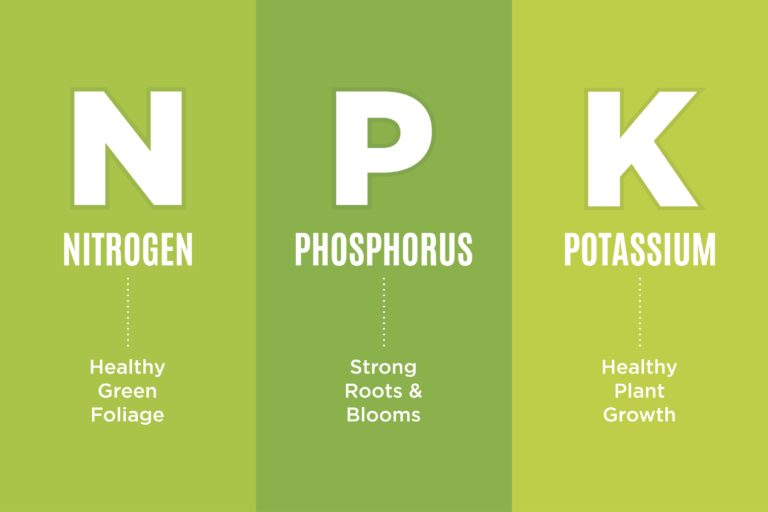 NPK schema