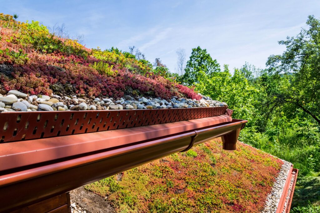 Sedum (groen en rood) op dak