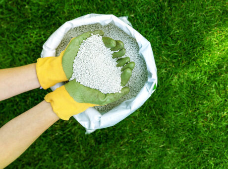 fertiliser hands