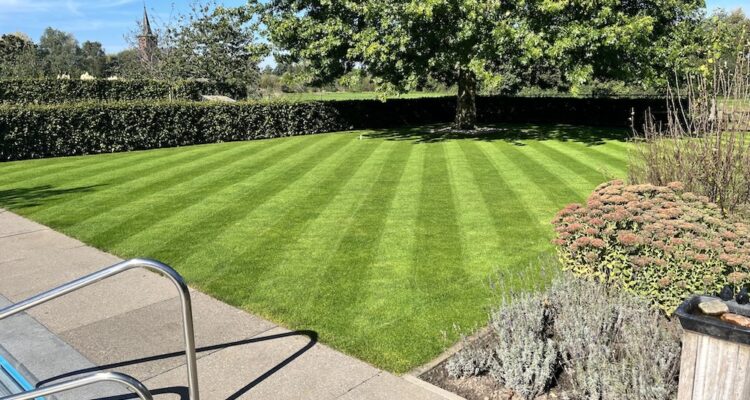 Zomers groen gazon