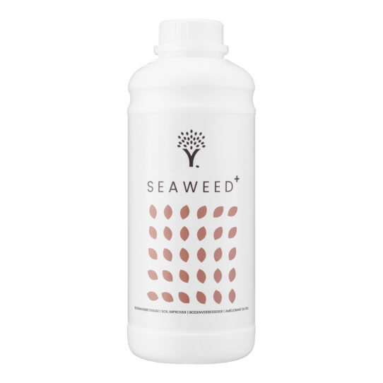 Seaweed voorkant