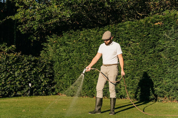 gazon sproeien in juli