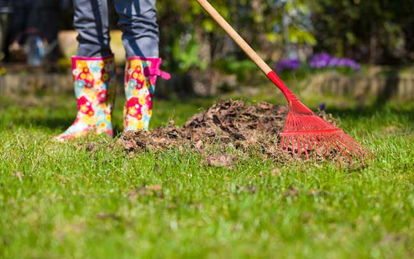 gazon onderhoud harken moowy