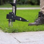 Onkruidsteker naar gazon