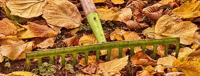 Iemand harkt herfstbladeren weg met hark