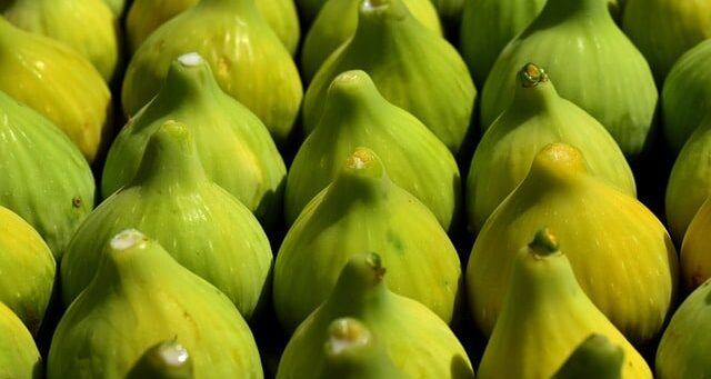 groene vijgen