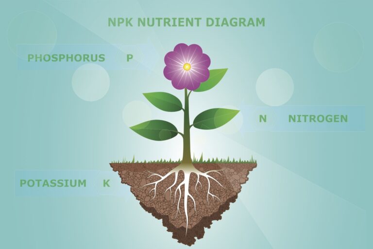 npk nutrient dagram