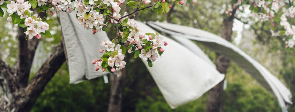 Was wappert in een tuin met veel wind