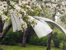 Was wappert in een tuin met veel wind