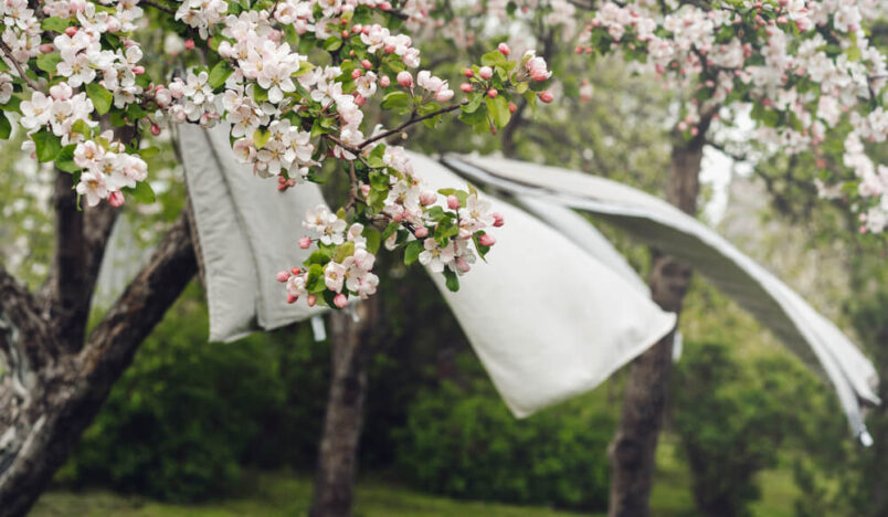 Was wappert in een tuin met veel wind