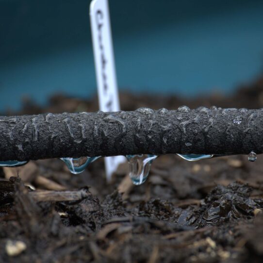 Druppelslang-water-druppelt