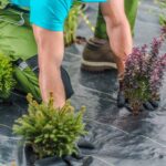 worteldoek-in-tuin-2