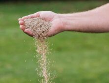 Iemand strooit graszaad op gazon