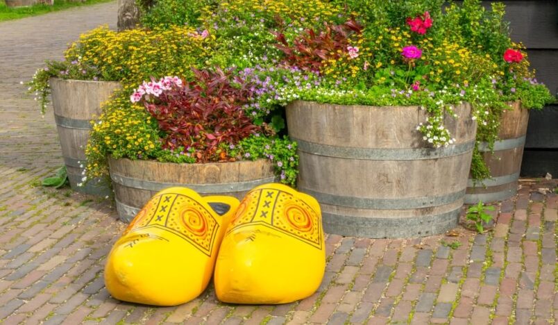 Tuinplanten in houten vat met klompen ervoor
